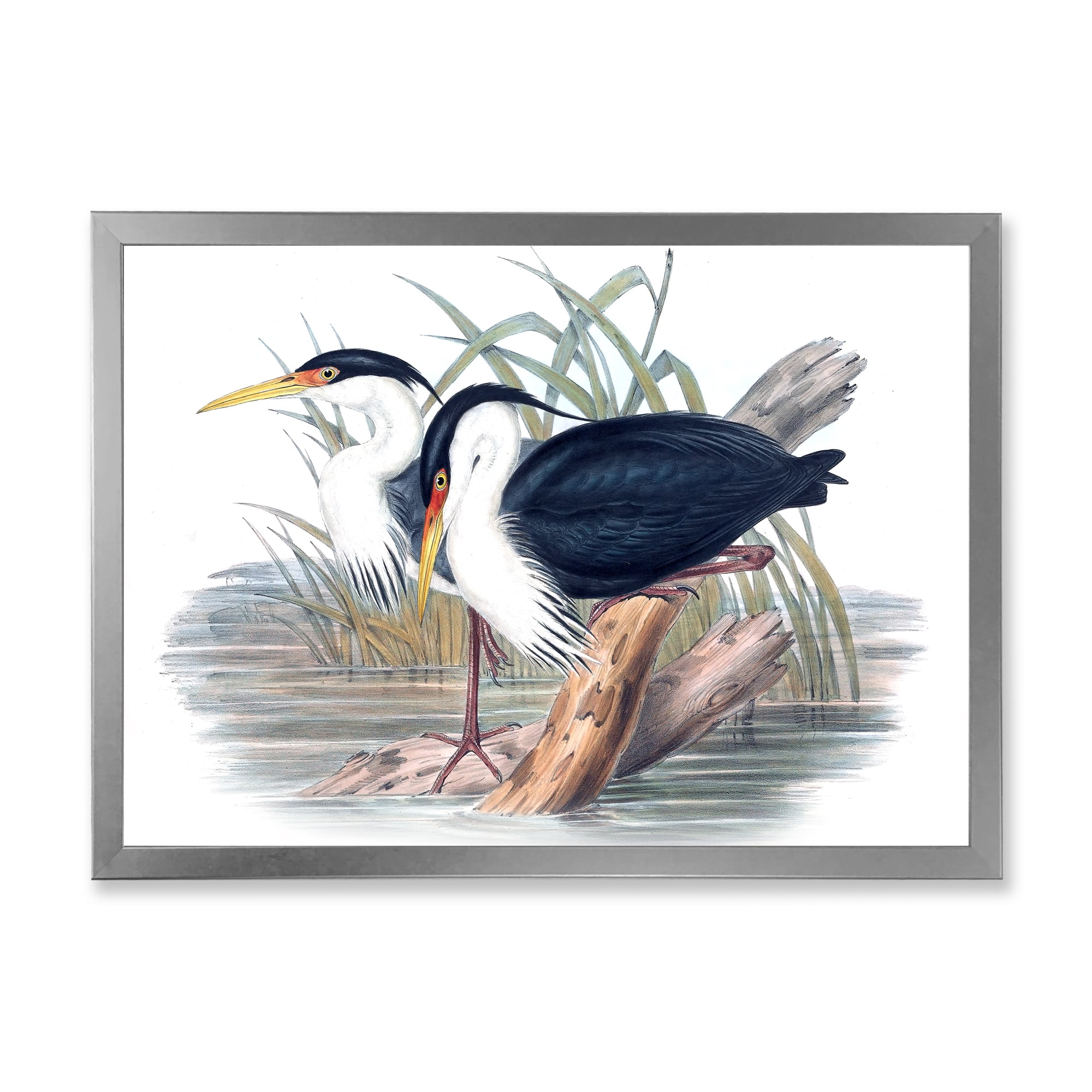 Designart 'Ancient Bird Life II' Traditional Framed Art Print