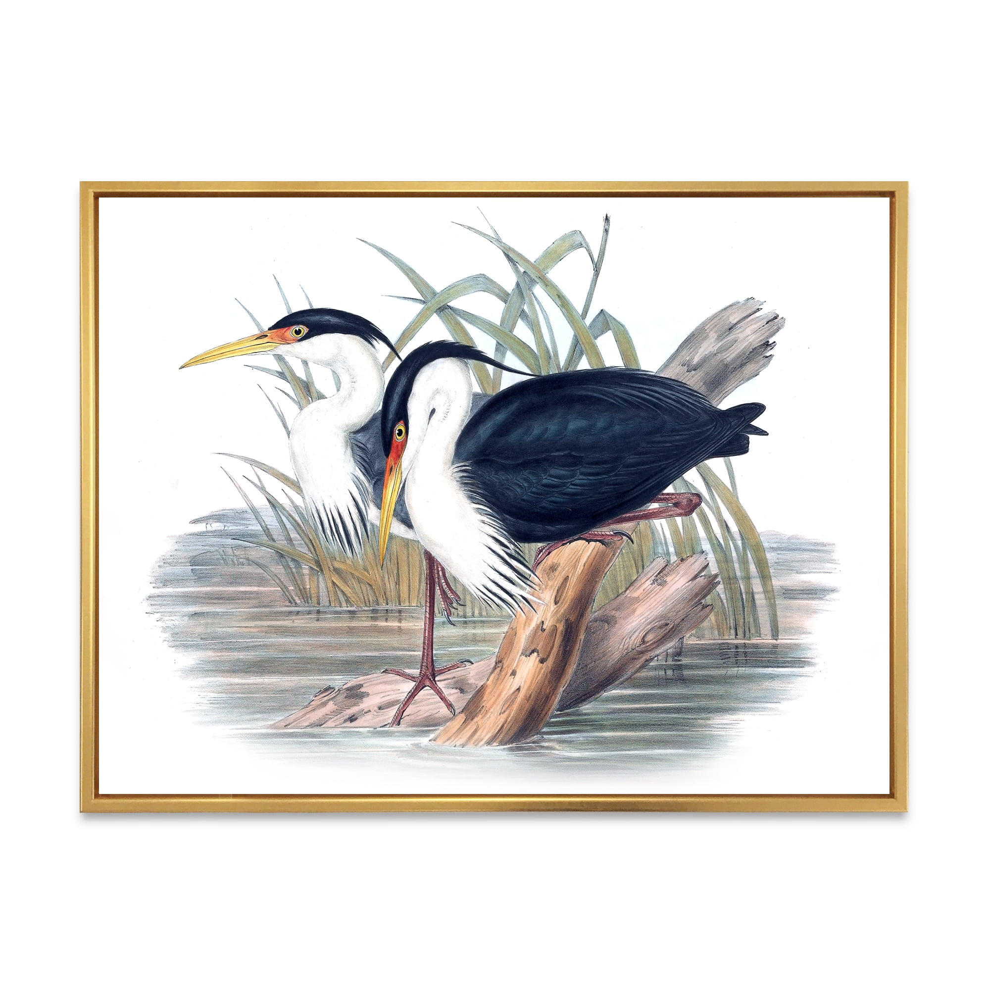 Designart 'Ancient Bird Life II' Traditional Framed Canvas Wall Art Print