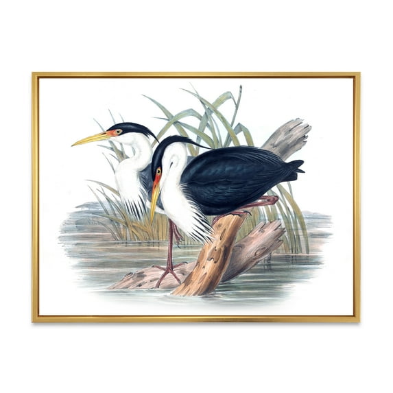 Designart 'Ancient Bird Life II' Traditional Framed Canvas Wall Art Print