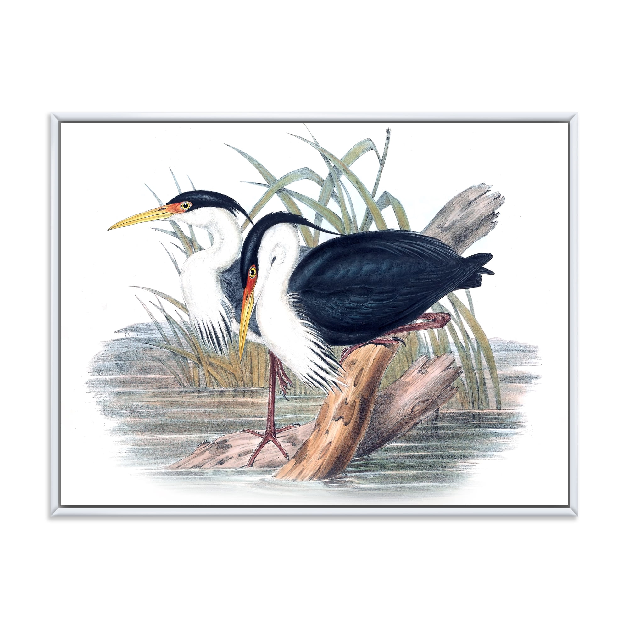 Designart 'Ancient Bird Life II' Traditional Framed Canvas Wall Art Print