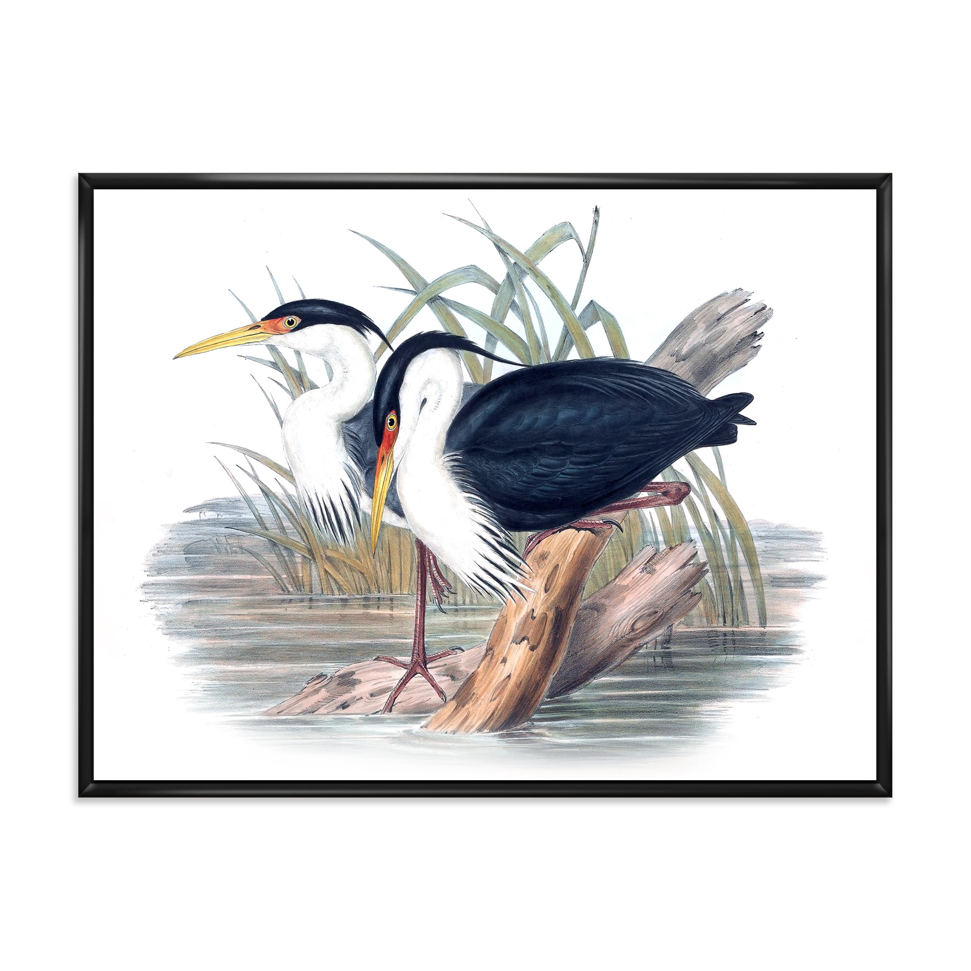 Designart 'Ancient Bird Life II' Traditional Framed Canvas Wall Art Print