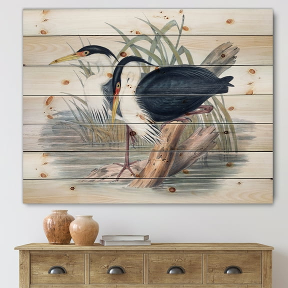 Designart 'Ancient Bird Life II' Traditional Print on Natural Pine Wood