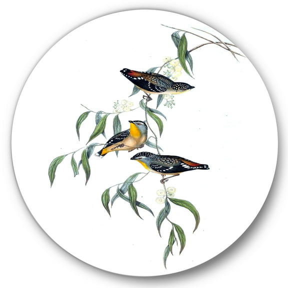 Designart 'Ancient Bird Life III' Traditional Circle Metal Wall Art 36x36 - Disc of 36
