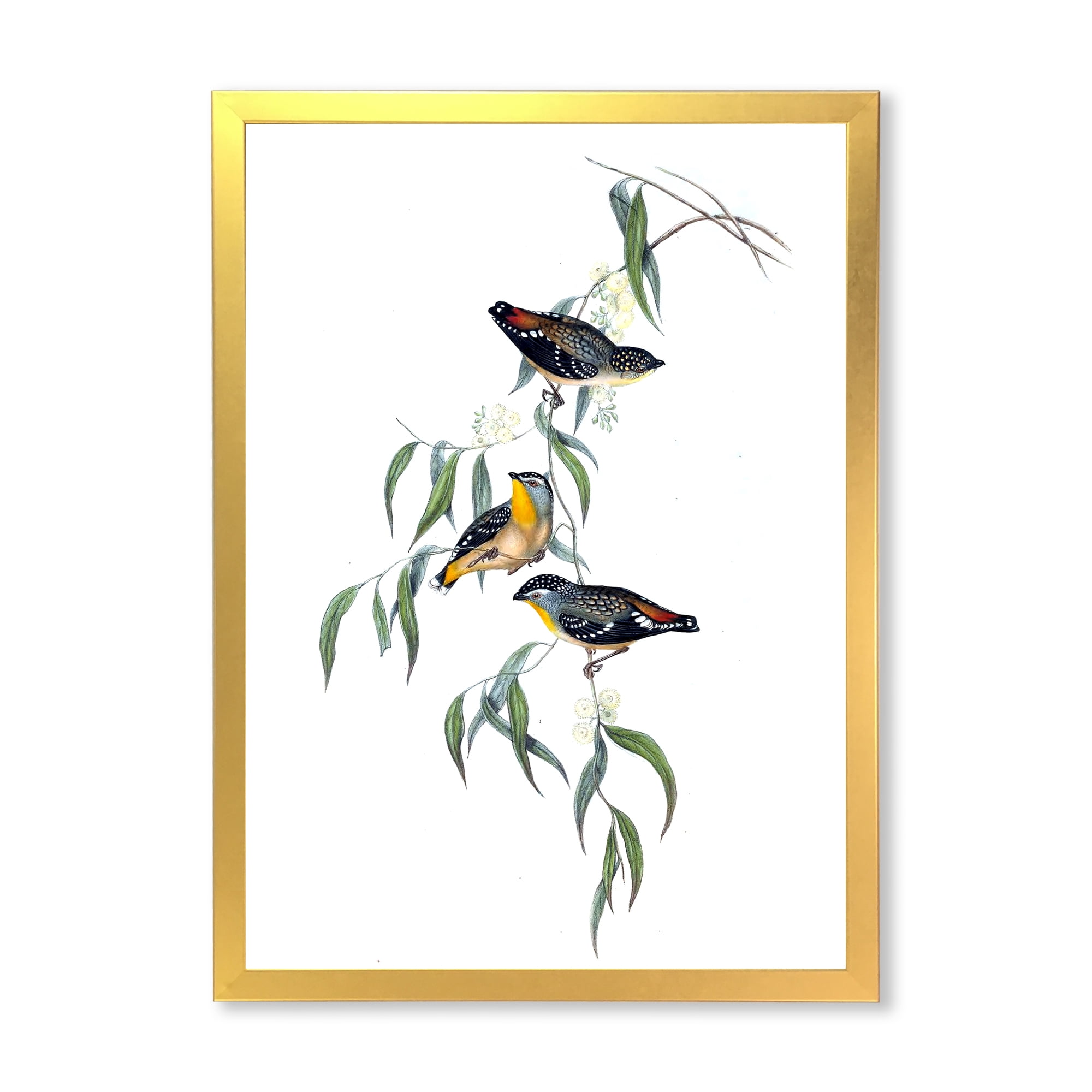 Designart 'Ancient Bird Life III' Traditional Framed Art Print