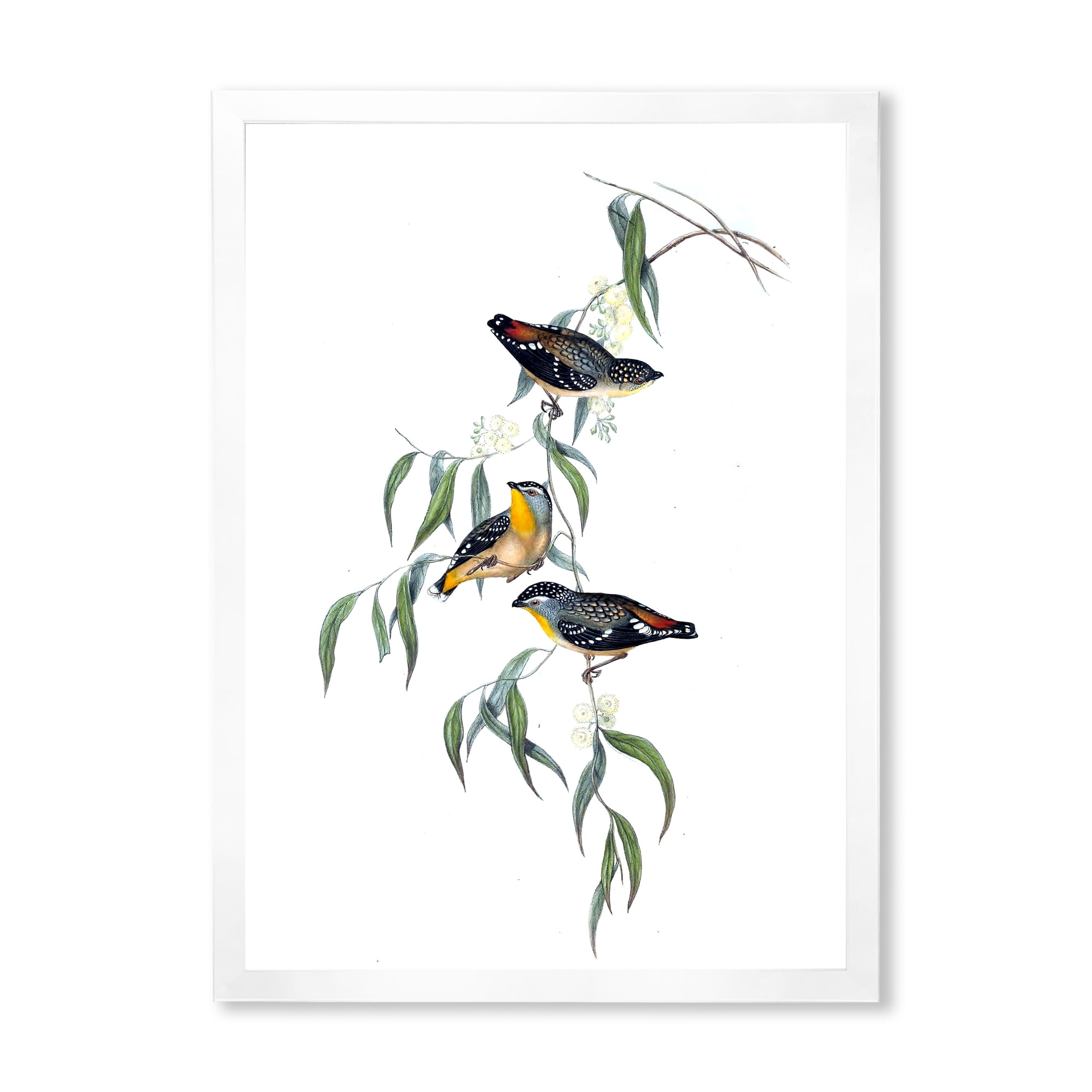 Designart 'Ancient Bird Life III' Traditional Framed Art Print