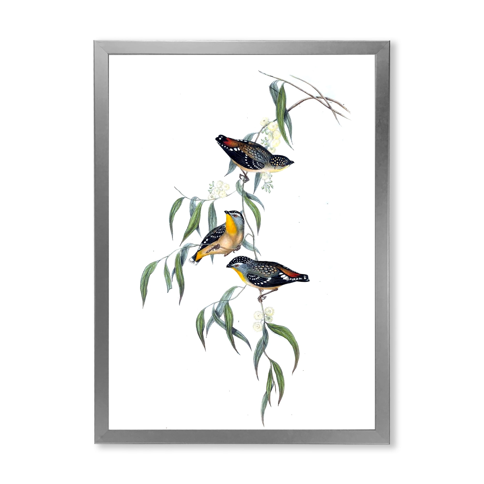 Designart 'Ancient Bird Life III' Traditional Framed Art Print