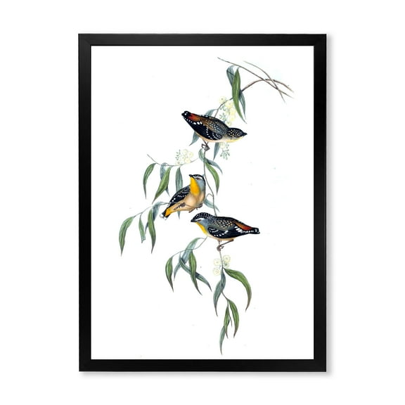 Designart 'Ancient Bird Life III' Traditional Framed Art Print