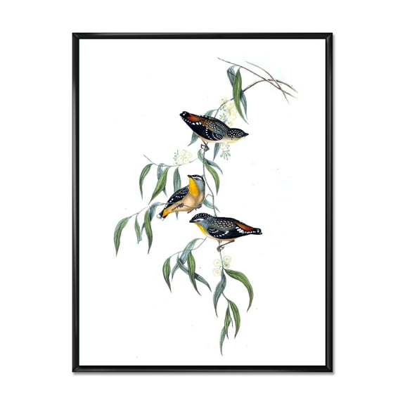 Designart 'Ancient Bird Life III' Traditional Framed Canvas Wall Art Print