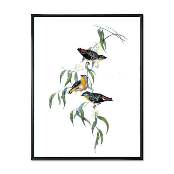 Designart 'Ancient Bird Life III' Traditional Framed Canvas Wall Art Print