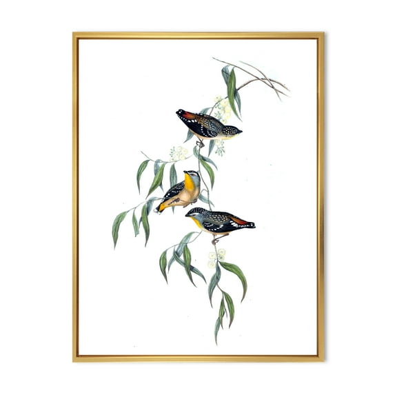 Designart 'Ancient Bird Life III' Traditional Framed Canvas Wall Art Print
