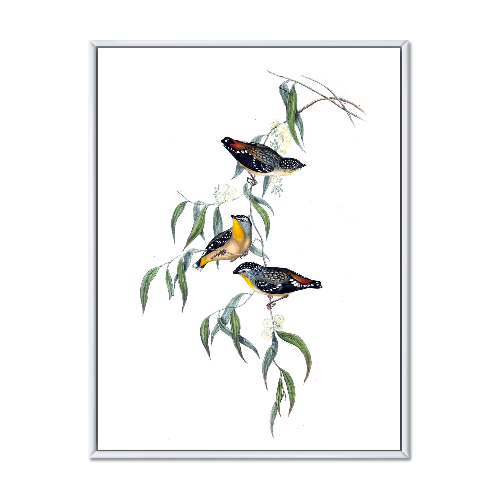 Designart 'Ancient Bird Life III' Traditional Framed Canvas Wall Art Print