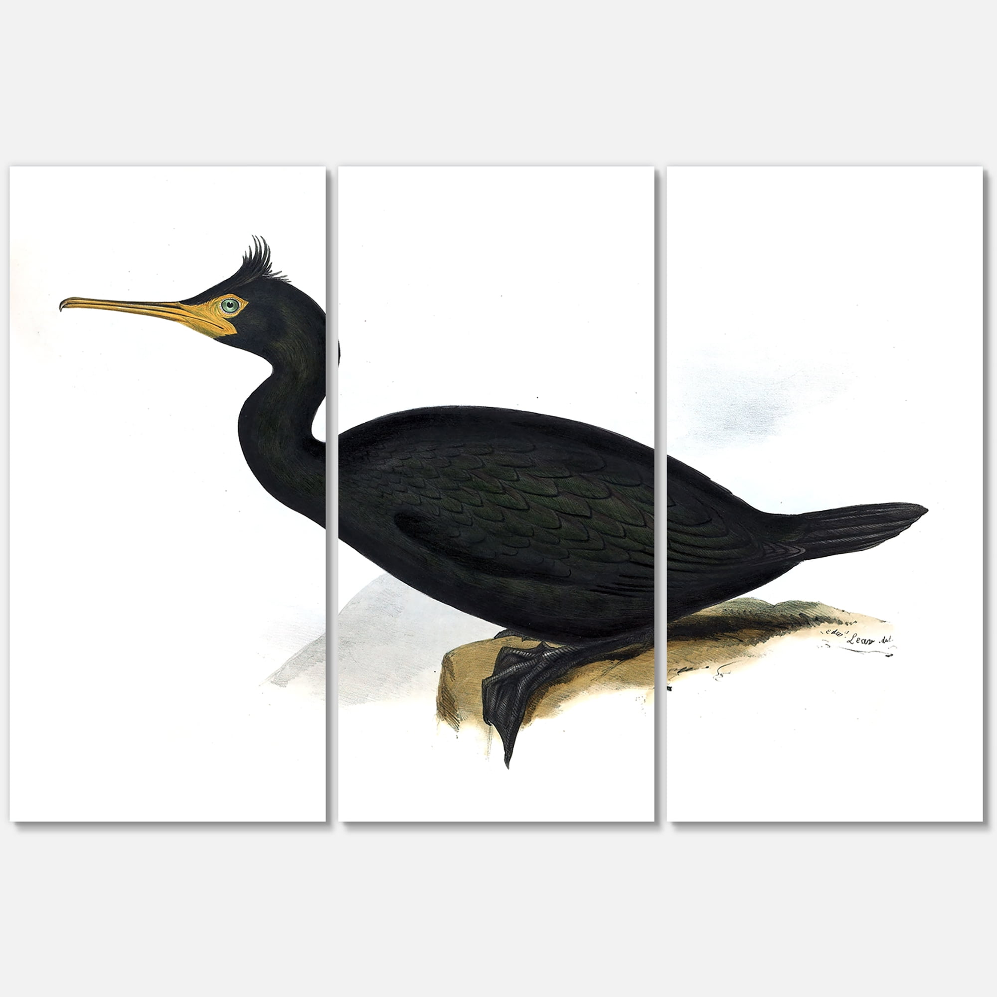 Designart ' Ancient Bird Life IV ' Traditional Canvas Wall Art Print