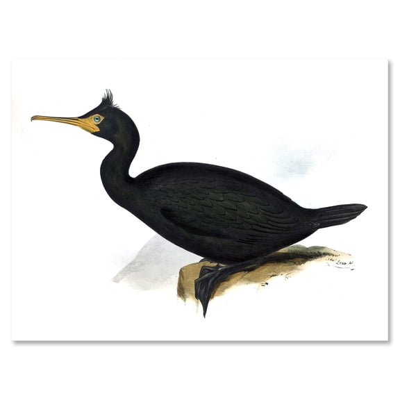 Designart ' Ancient Bird Life IV ' Traditional Canvas Wall Art Print