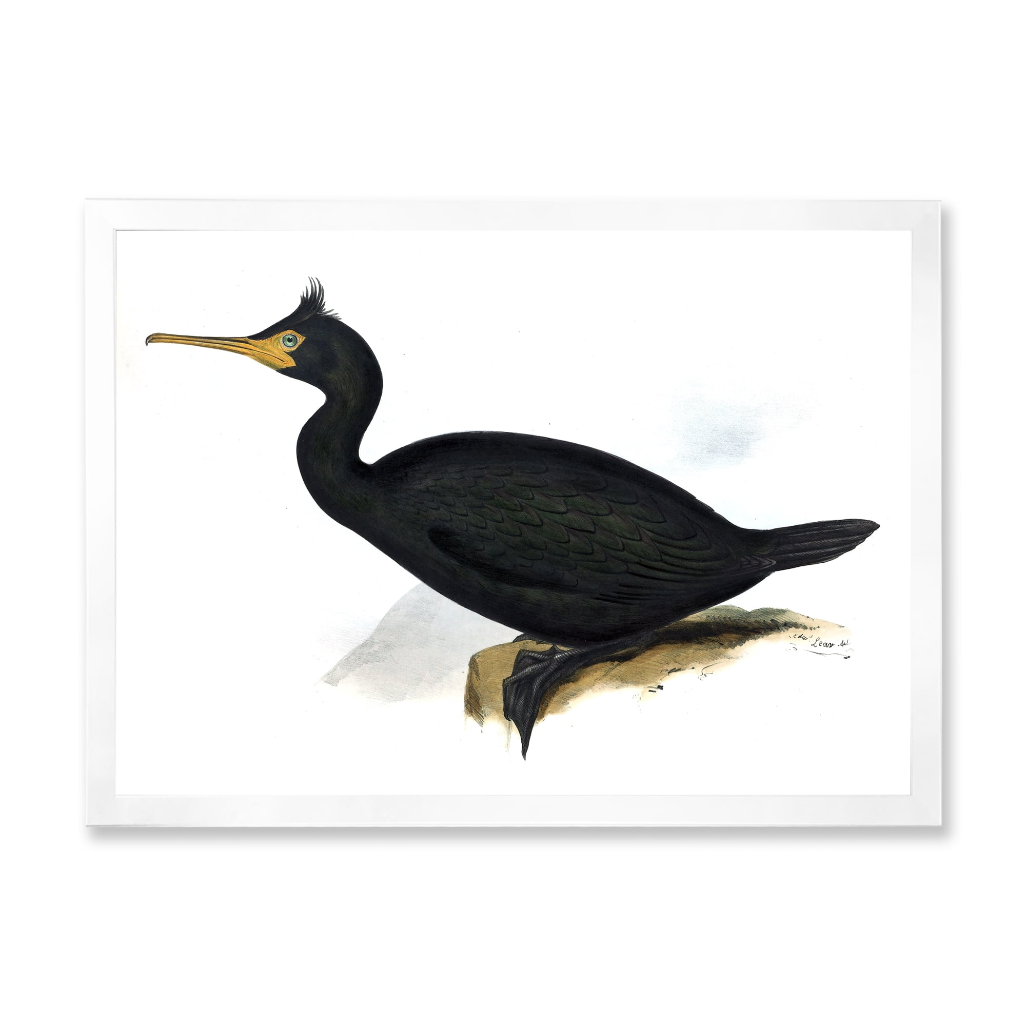 Designart 'Ancient Bird Life IV' Traditional Framed Art Print