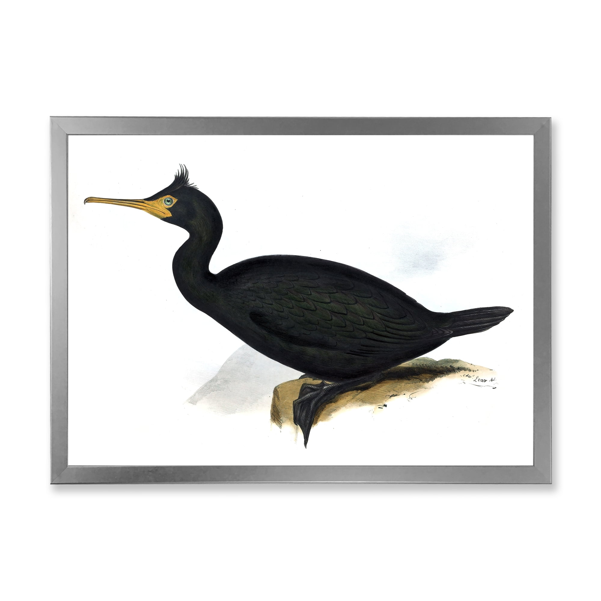 Designart 'Ancient Bird Life IV' Traditional Framed Art Print