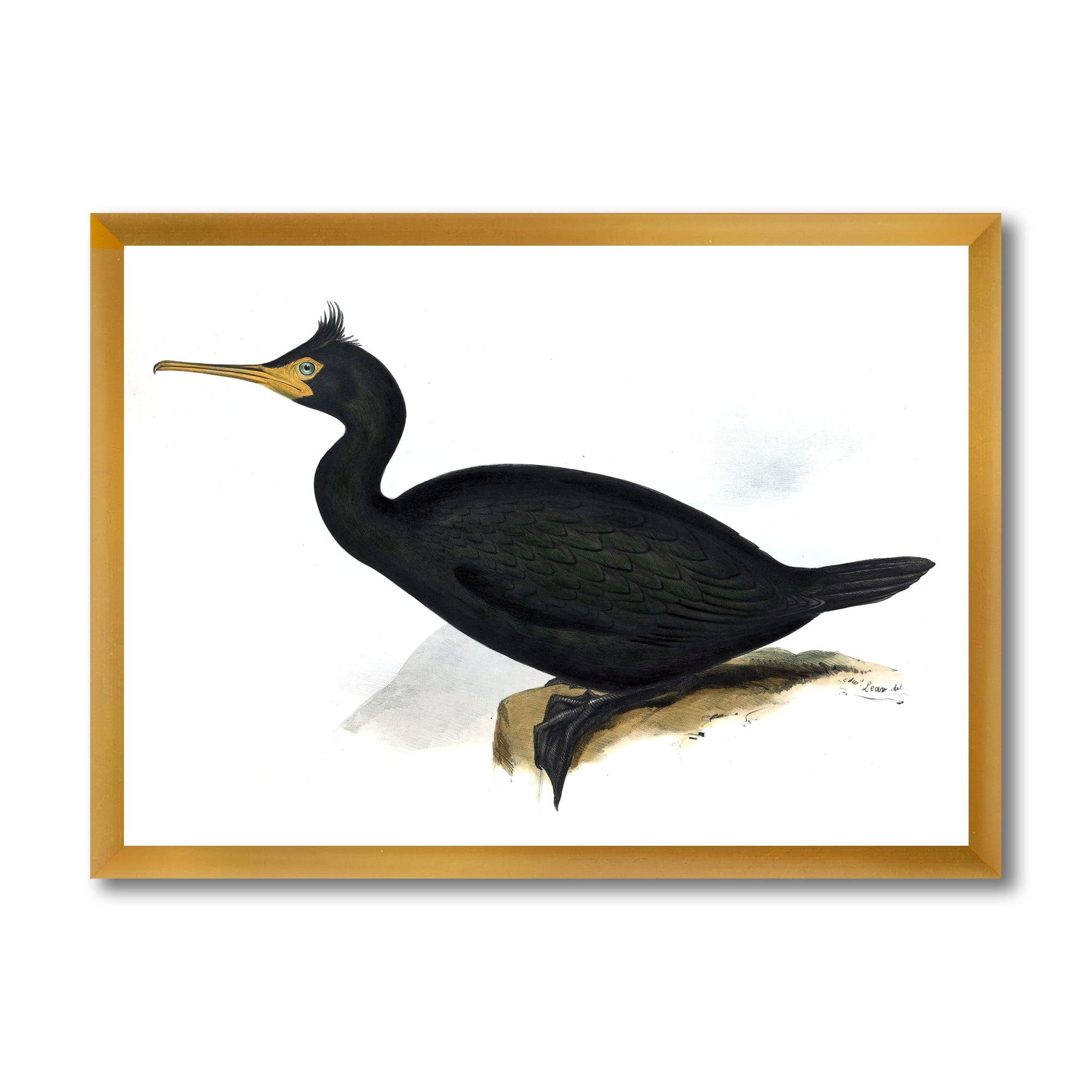 Designart 'Ancient Bird Life IV' Traditional Framed Art Print