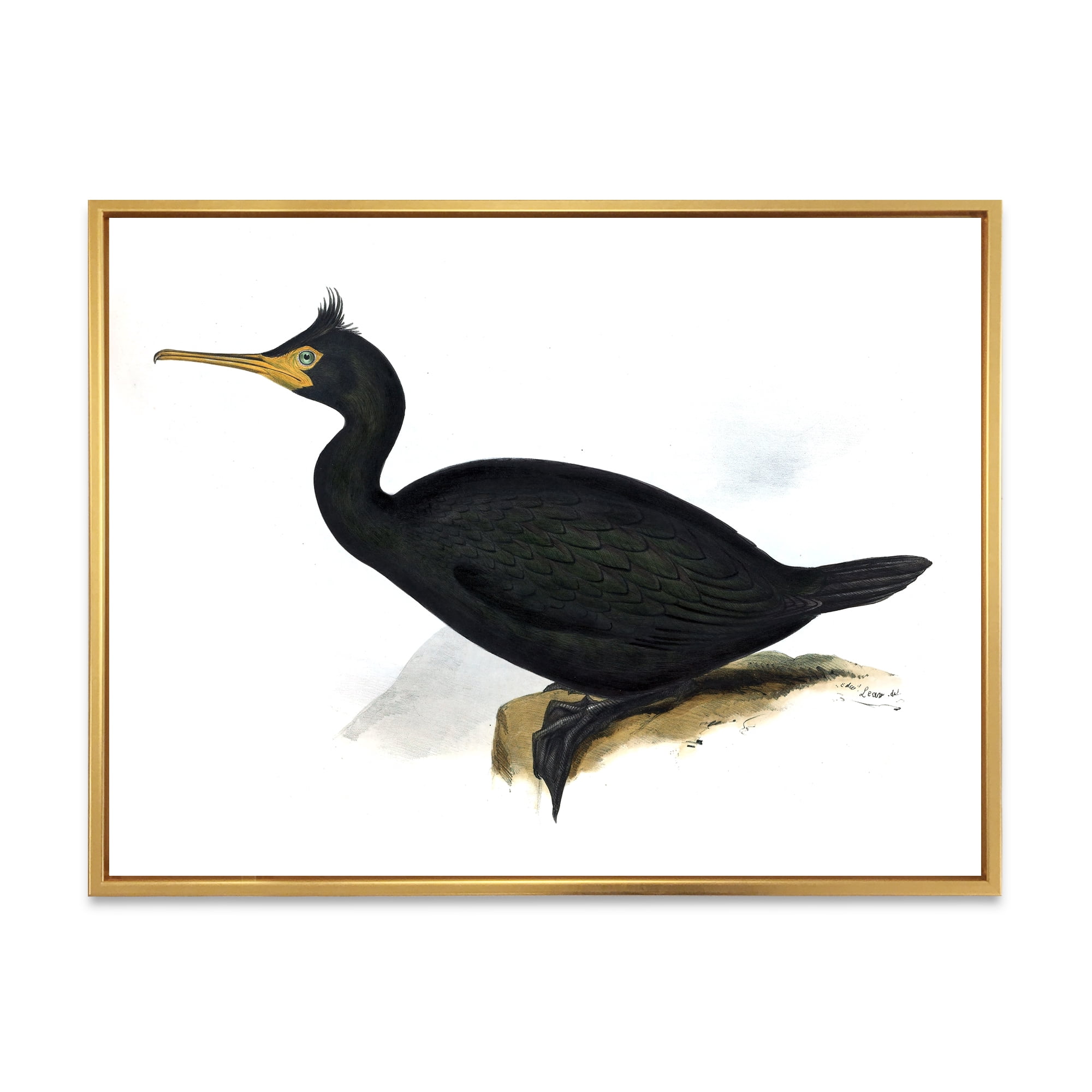 Designart 'Ancient Bird Life IV' Traditional Framed Canvas Wall Art Print