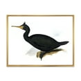 thumbnail image 1 of Designart 'Ancient Bird Life IV' Traditional Framed Canvas Wall Art Print, 1 of 5