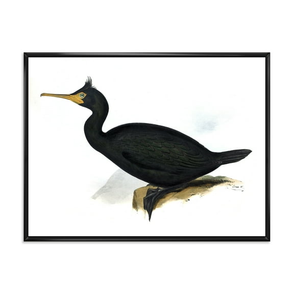 Designart 'Ancient Bird Life IV' Traditional Framed Canvas Wall Art Print