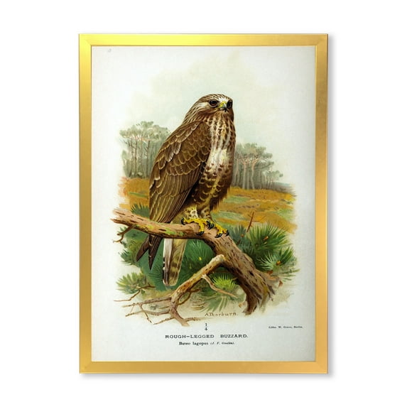 Designart 'Ancient Bird Life IX' Traditional Framed Art Print