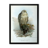 Designart 'Ancient Bird Life V' Traditional Framed Art Print