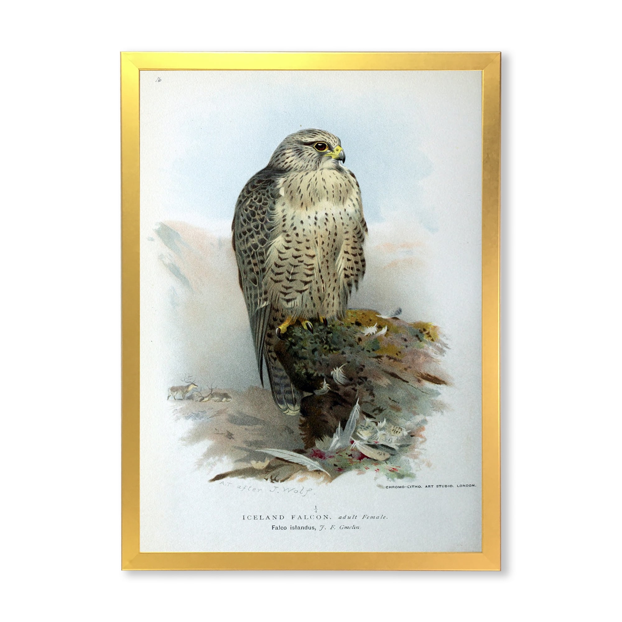 Designart 'Ancient Bird Life V' Traditional Framed Art Print