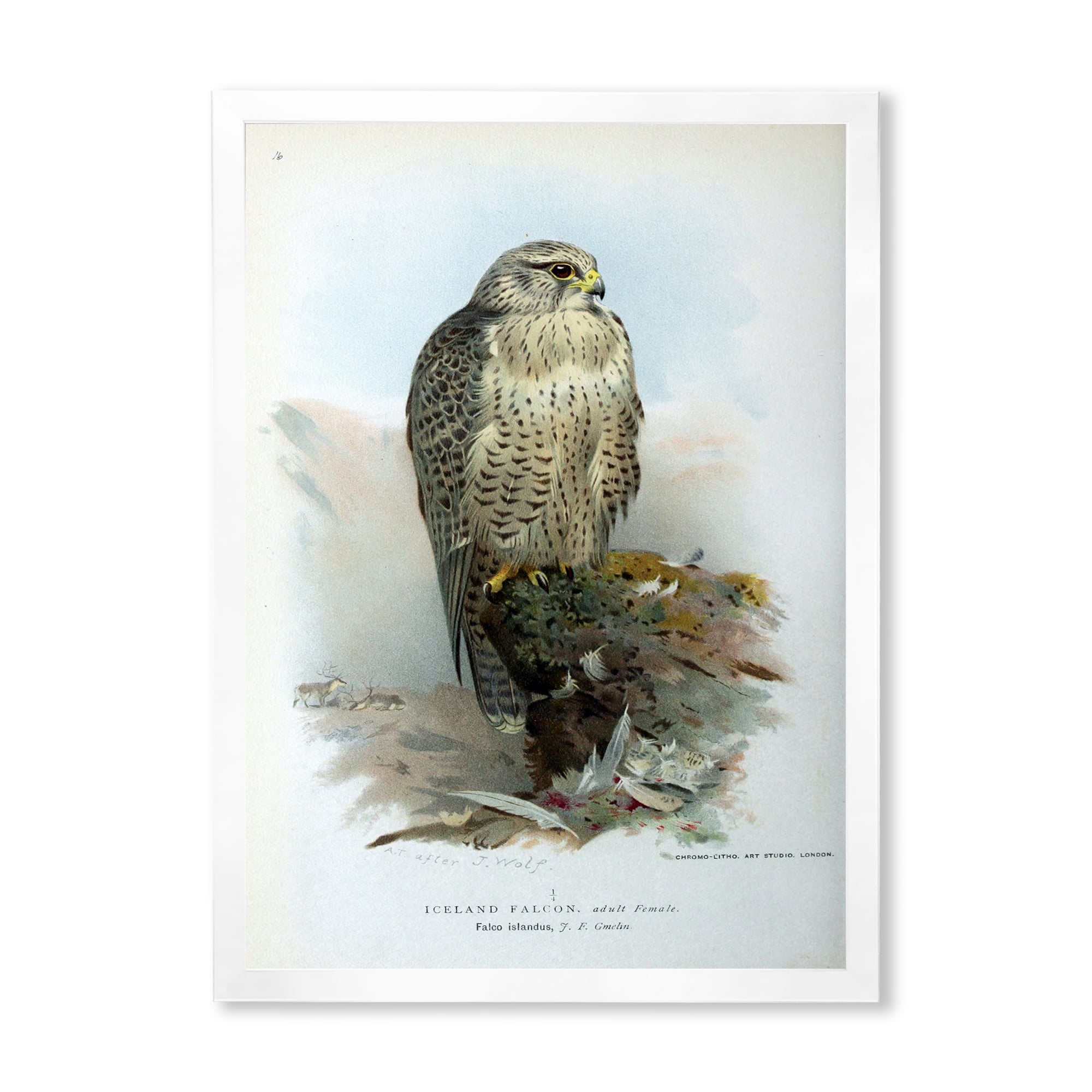 Designart 'Ancient Bird Life V' Traditional Framed Art Print