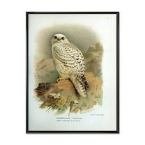 Designart 'Ancient Bird Life VII' Traditional Framed Canvas Wall Art Print