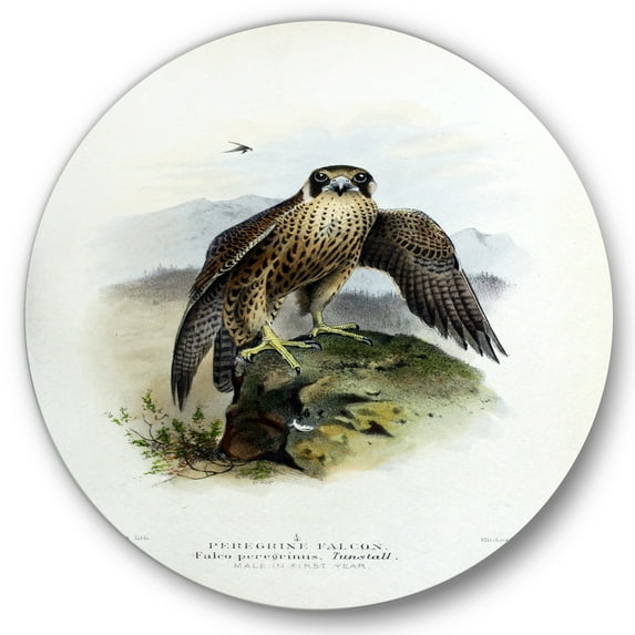 Designart 'Ancient Bird Life VIII' Traditional Circle Metal Wall Art 23x23 - Disc of 23