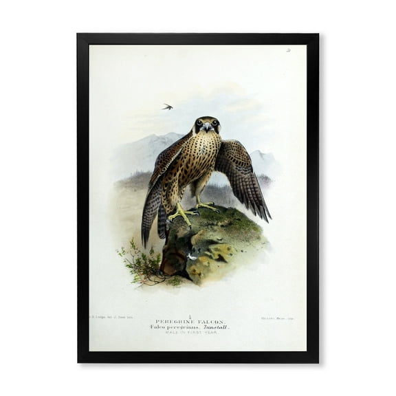 Designart 'Ancient Bird Life VIII' Traditional Framed Art Print