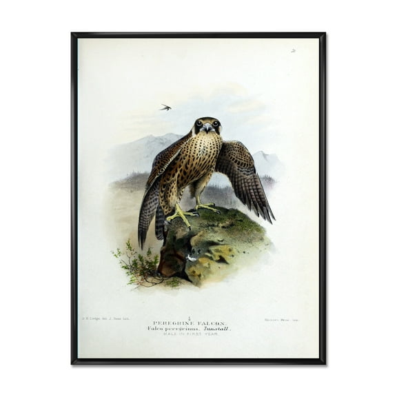 Designart 'Ancient Bird Life VIII' Traditional Framed Canvas Wall Art Print