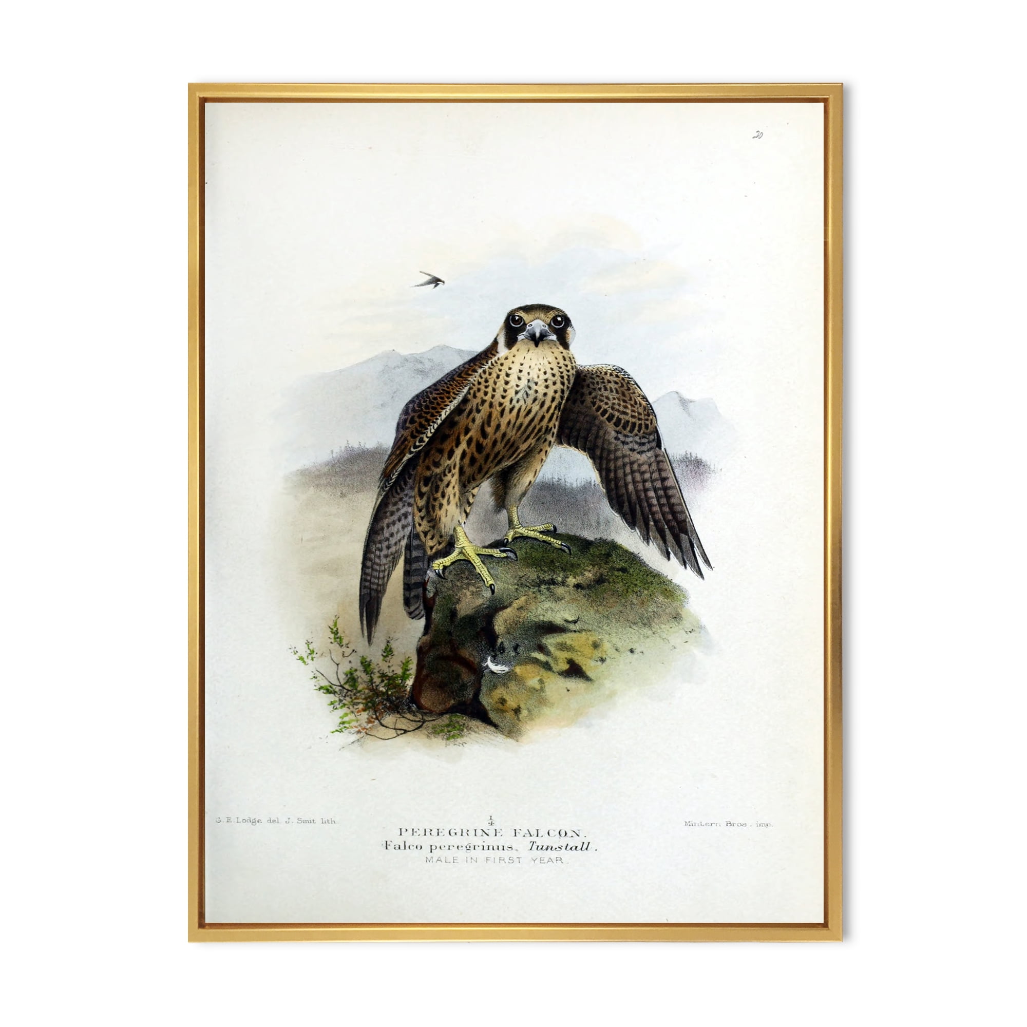 Designart 'Ancient Bird Life VIII' Traditional Framed Canvas Wall Art Print