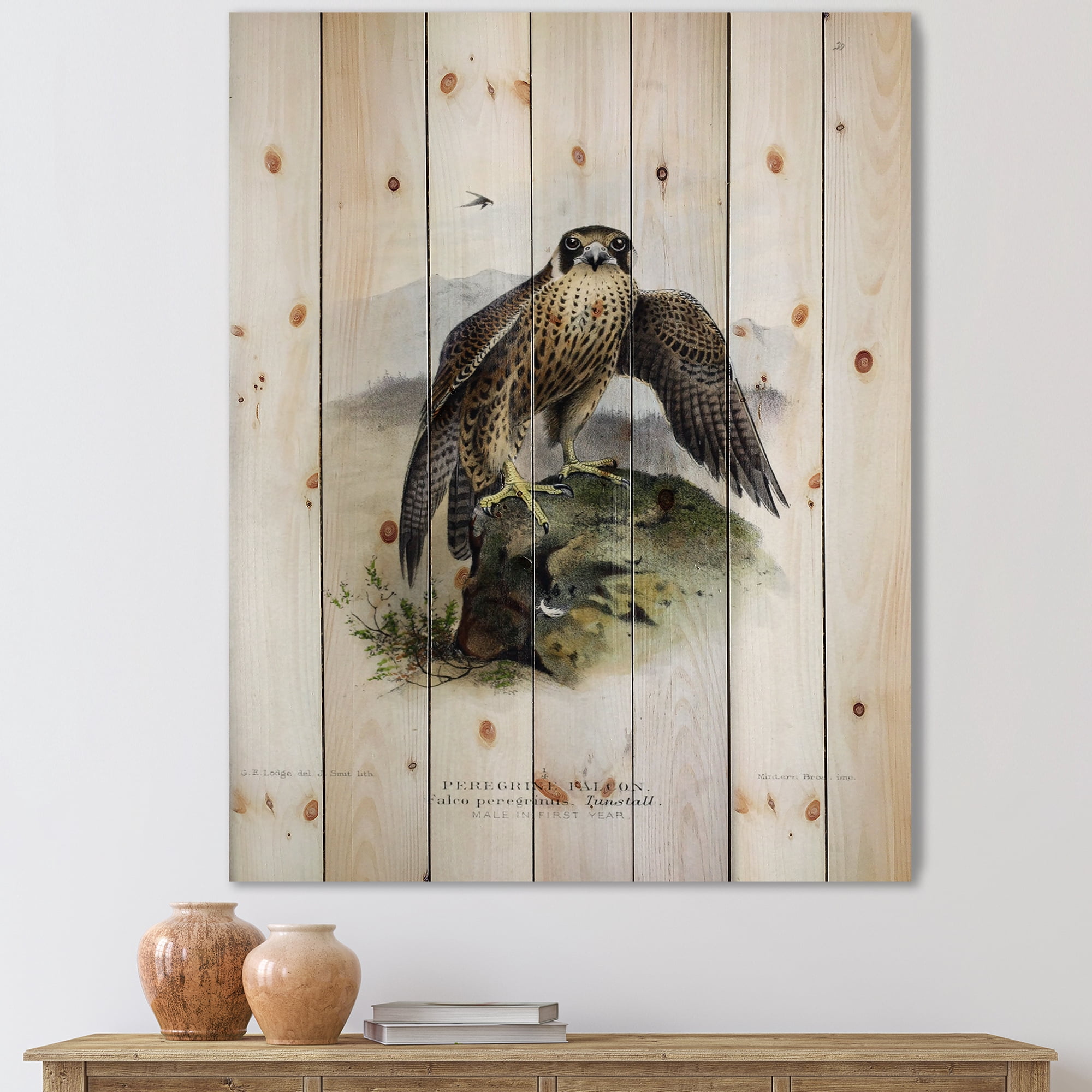 Designart 'Ancient Bird Life VIII' Traditional Print on Natural Pine Wood