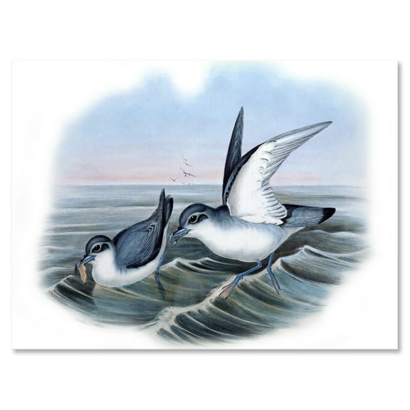 Designart ' Ancient Bird Life X ' Traditional Canvas Wall Art Print