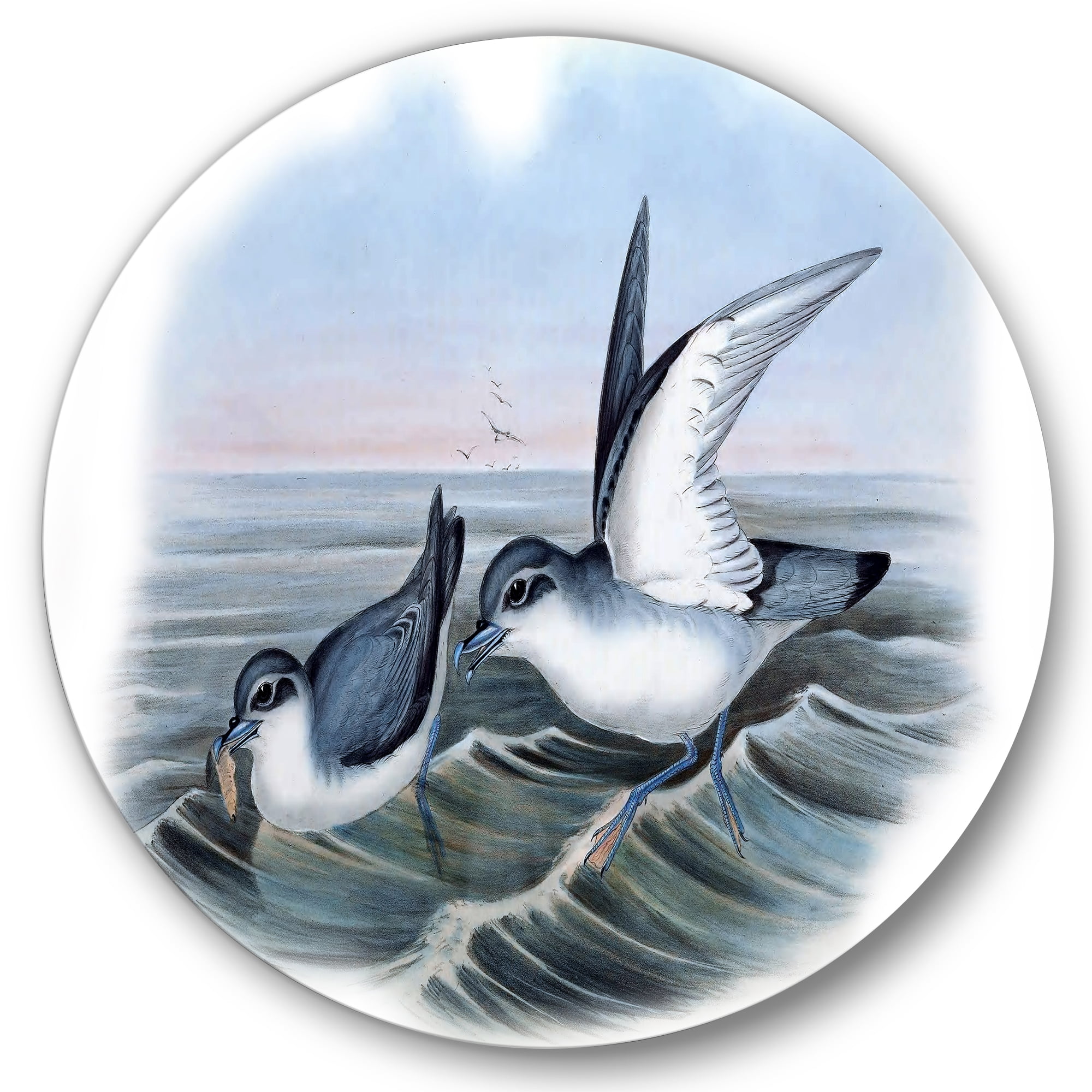 Designart 'Ancient Bird Life X' Traditional Circle Metal Wall Art 29x29 - Disc of 29