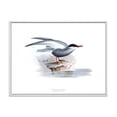 thumbnail image 1 of Designart 'Ancient Bird Of Europe I' Traditional Framed Canvas Wall Art Print, 1 of 5