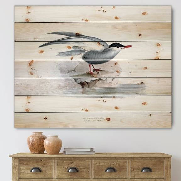 Designart 'Ancient Bird Of Europe I' Traditional Print on Natural Pine Wood