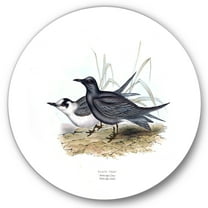 Designart 'Ancient Bird Of Europe II' Traditional Circle Metal Wall Art 36x36 - Disc of 36