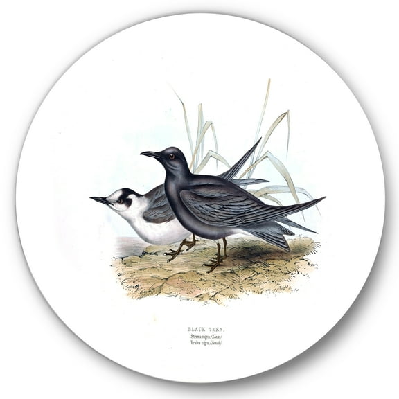 Designart 'Ancient Bird Of Europe II' Traditional Circle Metal Wall Art 36x36 - Disc of 36