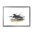 thumbnail image 1 of Designart 'Ancient Bird Of Europe II' Traditional Framed Art Print, 1 of 4