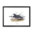 thumbnail image 1 of Designart 'Ancient Bird Of Europe II' Traditional Framed Art Print, 1 of 4
