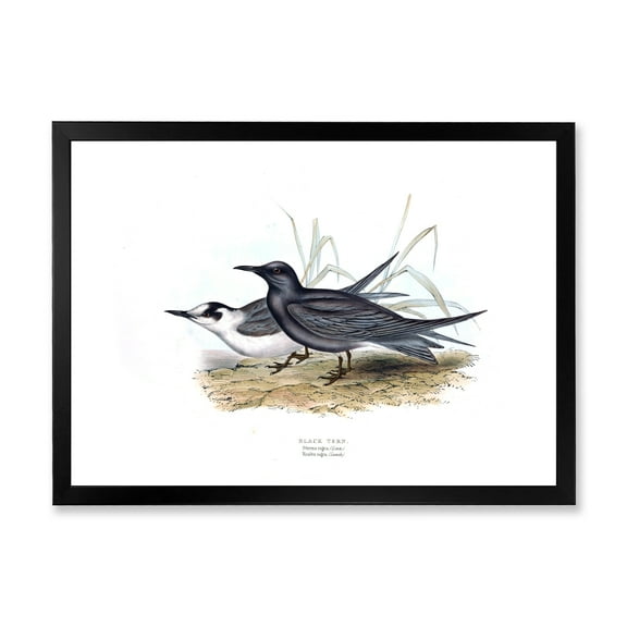 Designart 'Ancient Bird Of Europe II' Traditional Framed Art Print