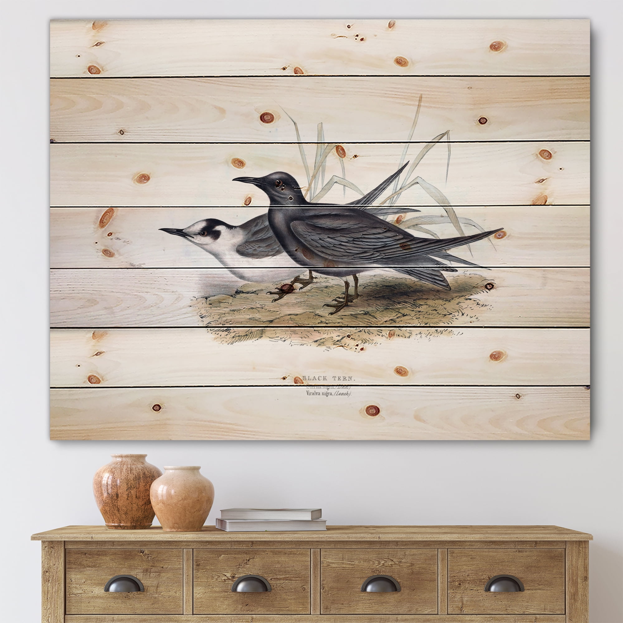 Designart 'Ancient Bird Of Europe II' Traditional Print on Natural Pine Wood