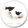 thumbnail image 1 of Designart 'Ancient Bird Of Europe III' Traditional Circle Metal Wall Art 29x29 - Disc of 29, 1 of 5