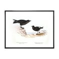 thumbnail image 1 of Designart 'Ancient Bird Of Europe III' Traditional Framed Canvas Wall Art Print, 1 of 5