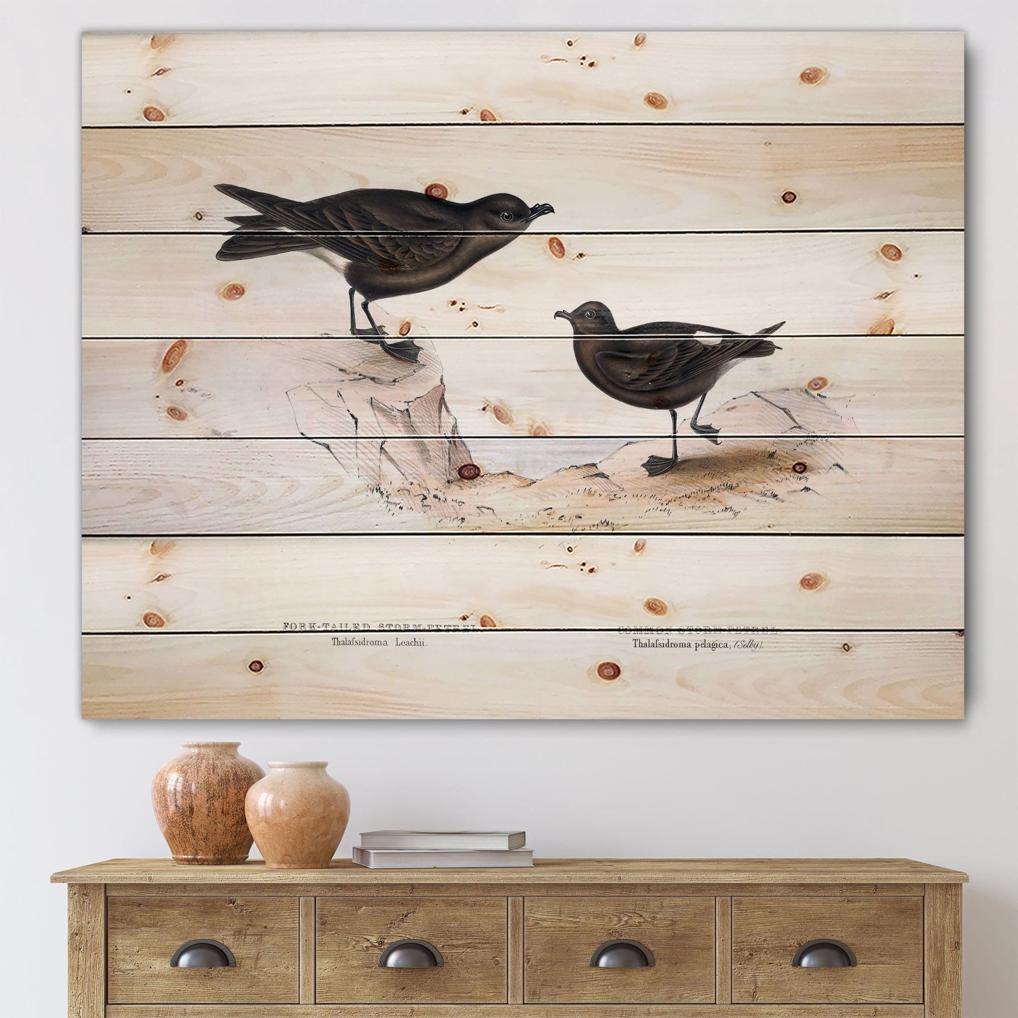 Designart 'Ancient Bird Of Europe III' Traditional Print on Natural Pine Wood