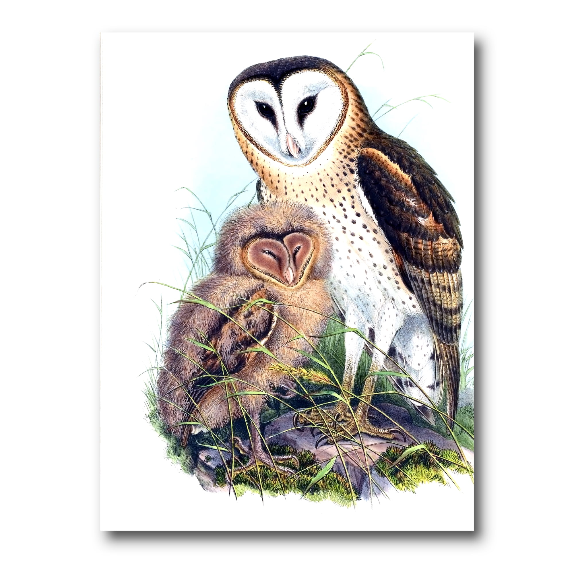Designart ' Ancient Birds I ' Traditional Canvas Wall Art Print