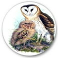 thumbnail image 1 of Designart 'Ancient Birds I' Traditional Circle Metal Wall Art 23x23 - Disc of 23, 1 of 5