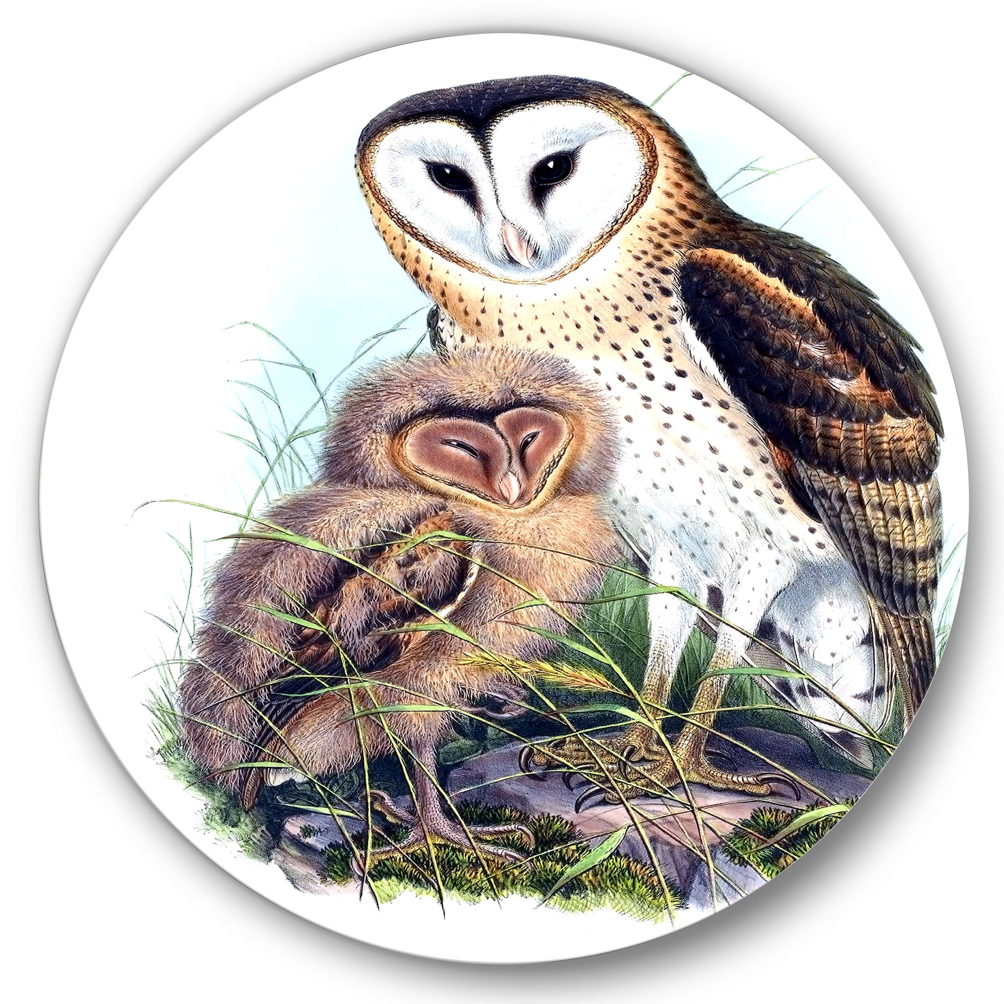 Designart 'Ancient Birds I' Traditional Circle Metal Wall Art 29x29 - Disc of 29