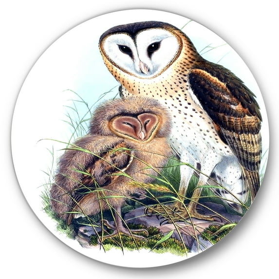 Designart 'Ancient Birds I' Traditional Circle Metal Wall Art 36x36 - Disc of 36